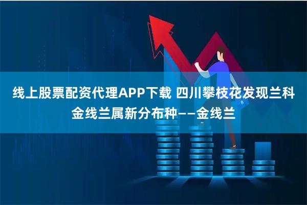 线上股票配资代理APP下载 四川攀枝花发现兰科金线兰属新分布种——金线兰
