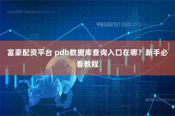 富豪配资平台 pdb数据库查询入口在哪？新手必看教程