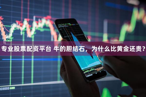 专业股票配资平台 牛的胆结石，为什么比黄金还贵？