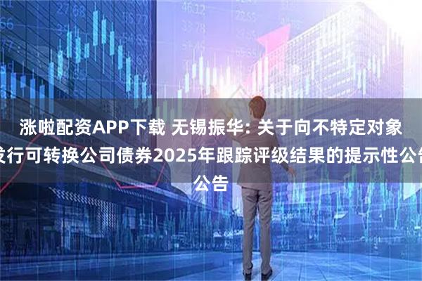 涨啦配资APP下载 无锡振华: 关于向不特定对象发行可转换公司债券2025年跟踪评级结果的提示性公告